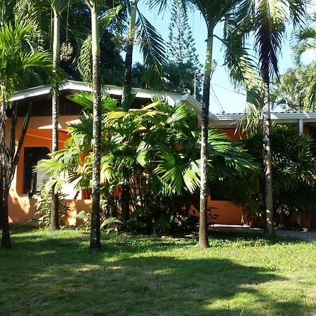 Bed and Breakfast Embassy House Puerto Jiménez Esterno foto